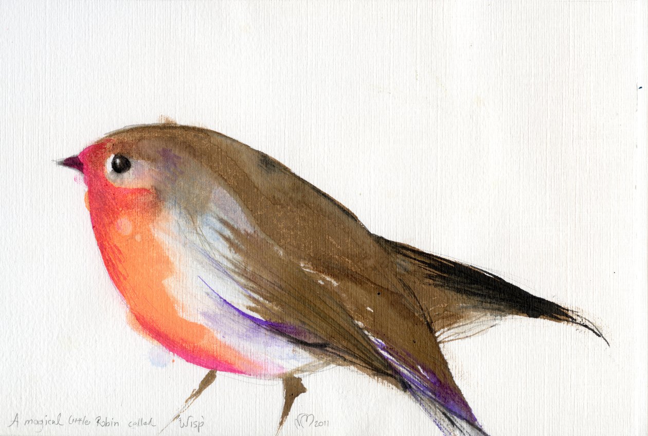 Um pequeno robin mágico chamado Wisp, 2011, (tinta no papel) de Nancy Moniz Charalambous