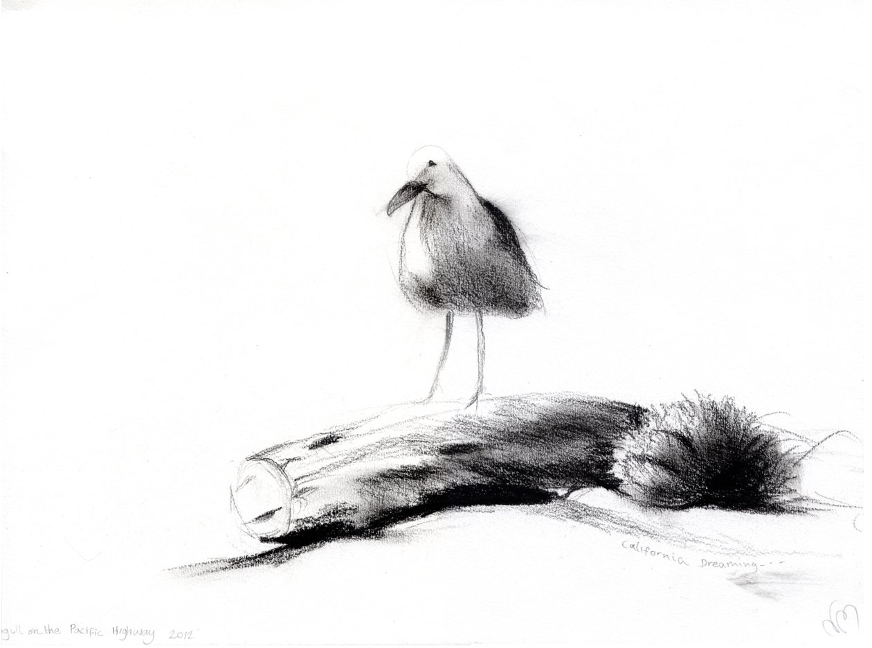 Gaivota da Califórnia, 2012, (carvão no papel) de Nancy Moniz Charalambous
