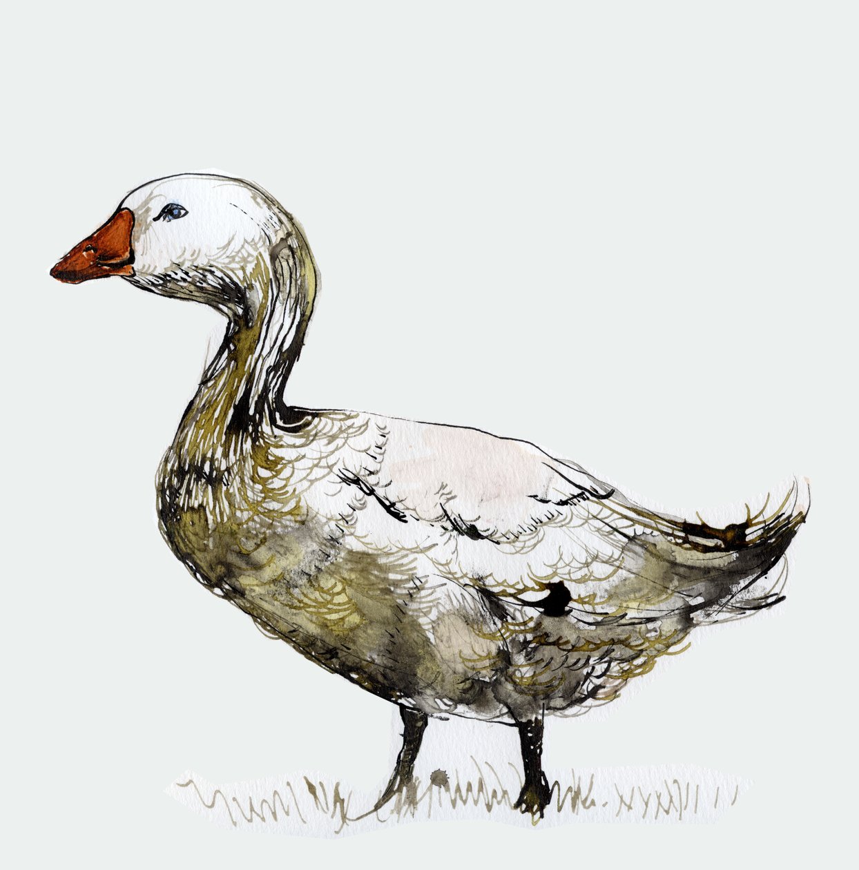 Filthy Goose, 2017, (tinta no papel) de Nancy Moniz Charalambous