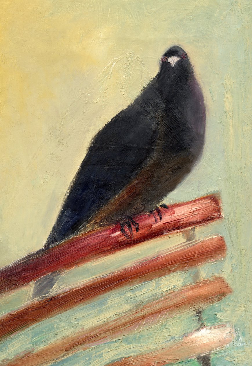 Kingly Court Pigeon, 2013, de Nancy Moniz Charalambous