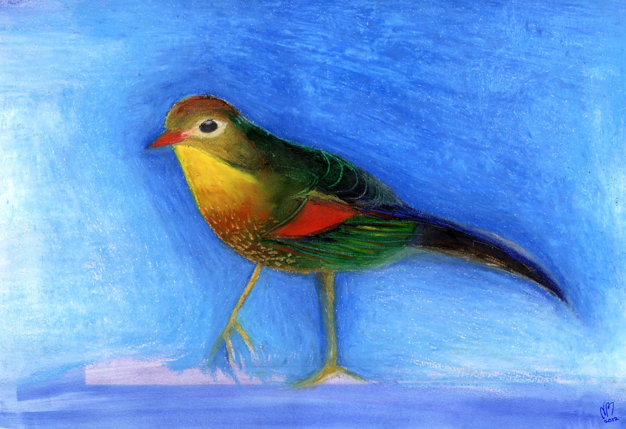 Nightingale Light, 2012, (pastel a óleo sobre papel) de Nancy Moniz Charalambous