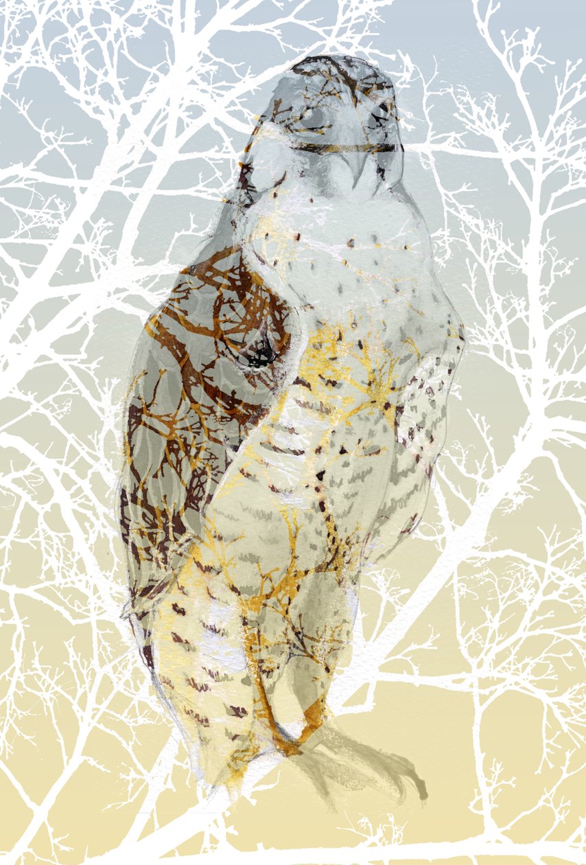 Peregrine Falcon, 2015, (tinta e guache no cartão) de Nancy Moniz Charalambous