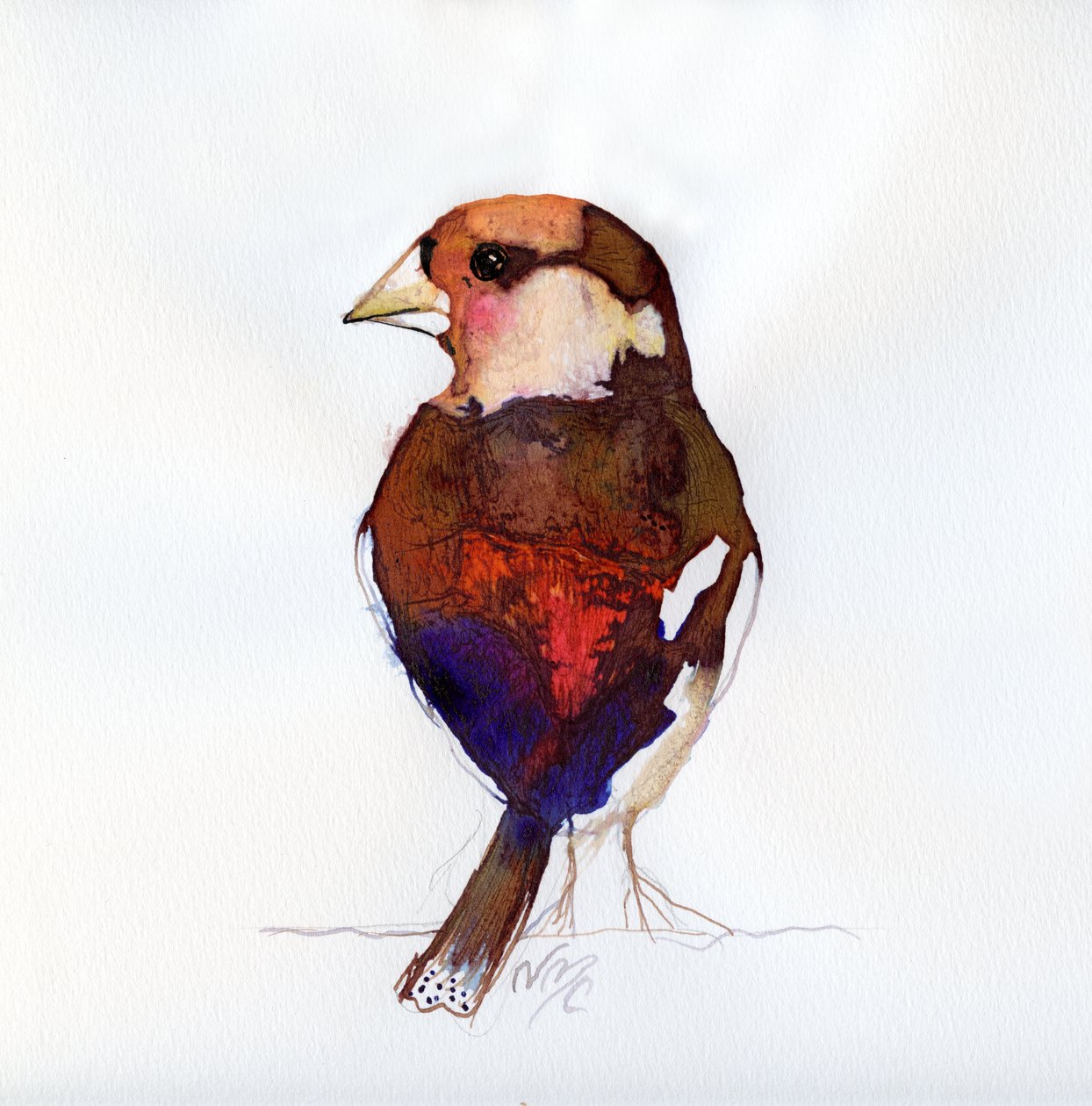 Hawfinch Blushing, 2017 de Nancy Moniz Charalambous