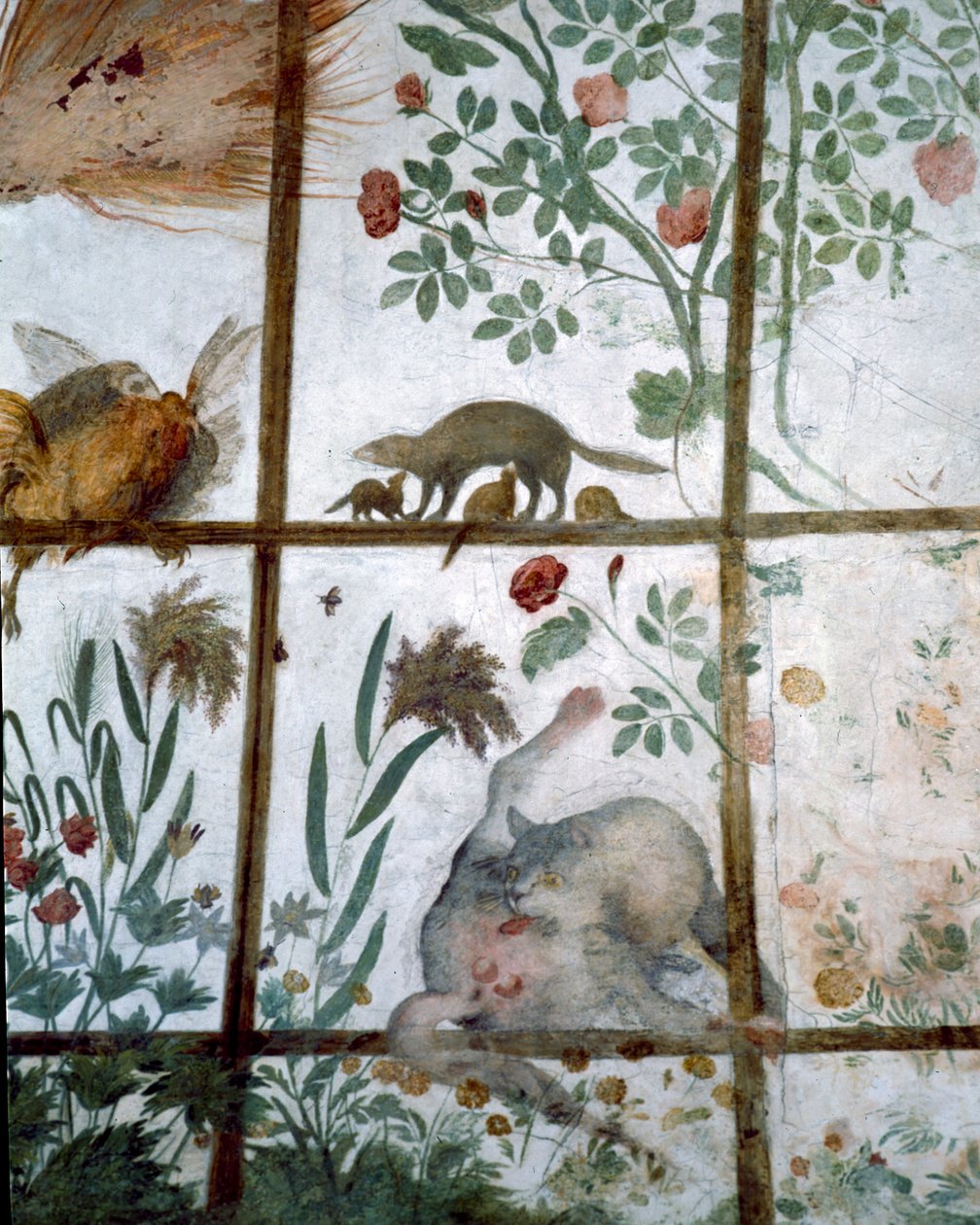 A antecâmara do estudo Studiolo de Francesco deMedici 1541-87 detalhe de decoração retratando animais em uma pérgola de jardim, 1564-75 afresco de Bartolomeo Ammannati