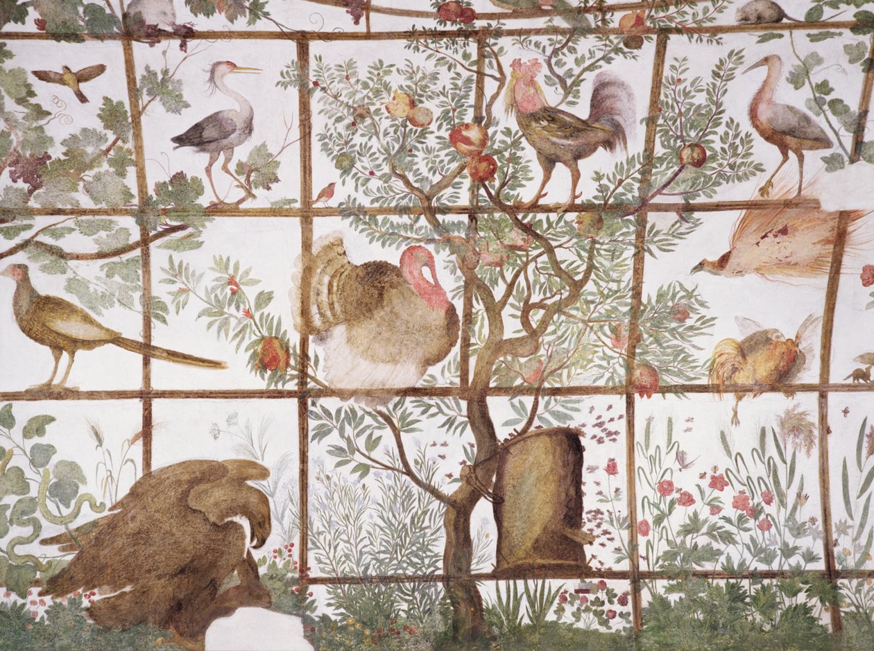 A antecâmara do estudo Studiolo de Francesco deMedici 1541-87 detalhe de decoração retratando pássaros em uma pérgola de jardim, 1564-75 afresco de Bartolomeo Ammannati