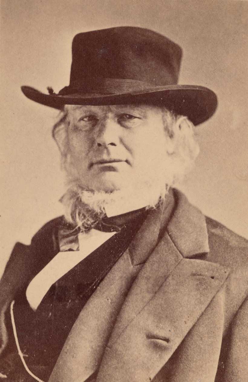 Retrato de Horace Greeley 1811-1872, 1869. de Napoleon Sarony