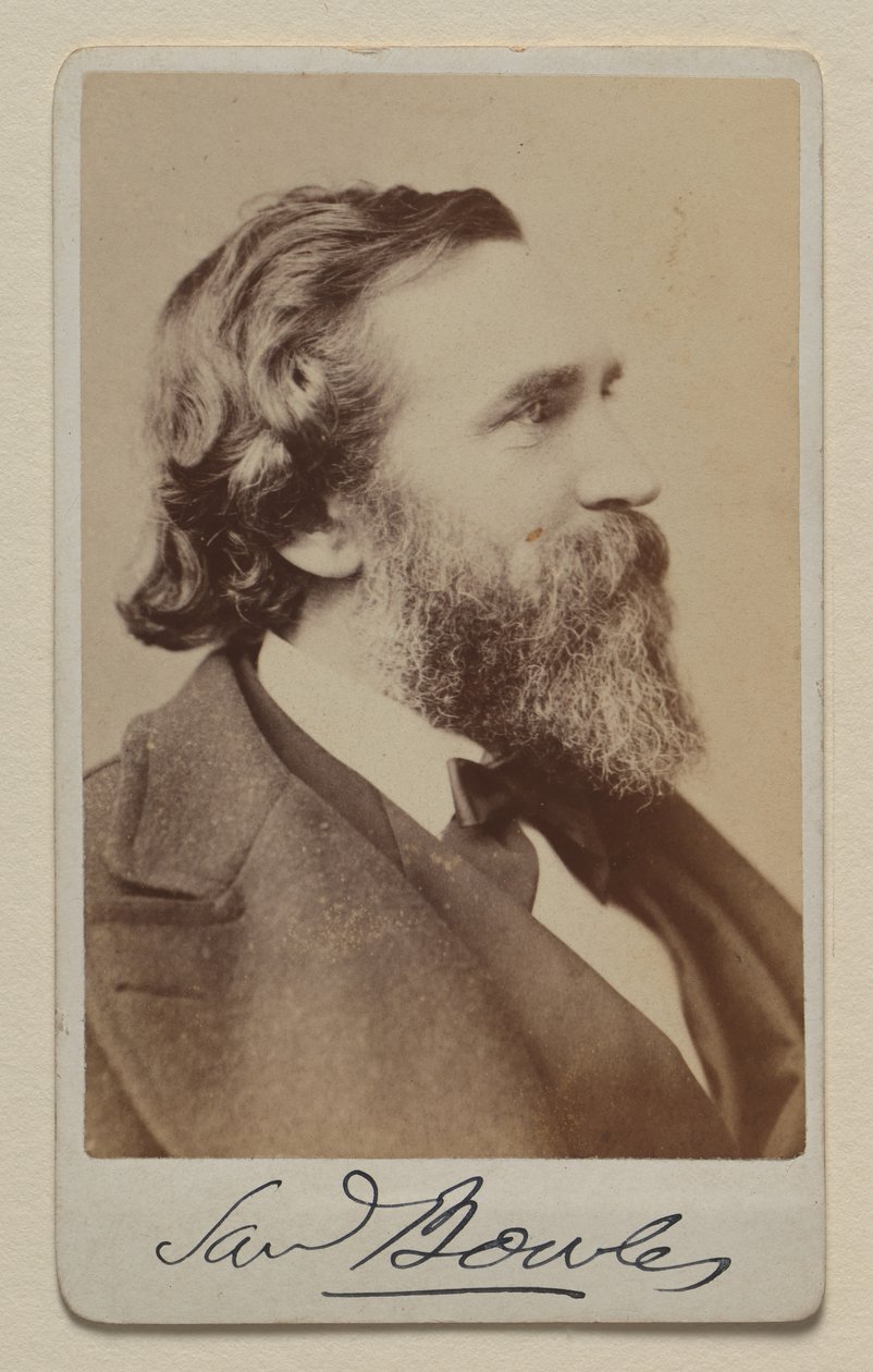 Samuel Bowles II de Napoleon Sarony