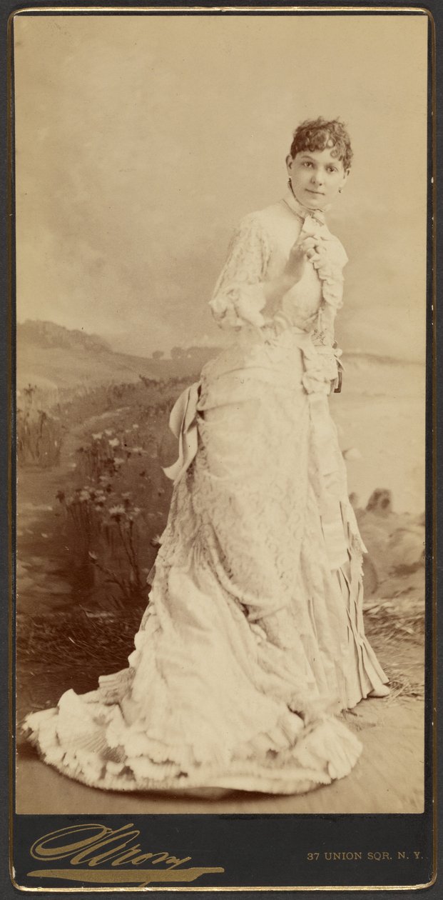 [Mulher não identificada com um vestido branco longo e elegante, de pé] de Napoleon Sarony