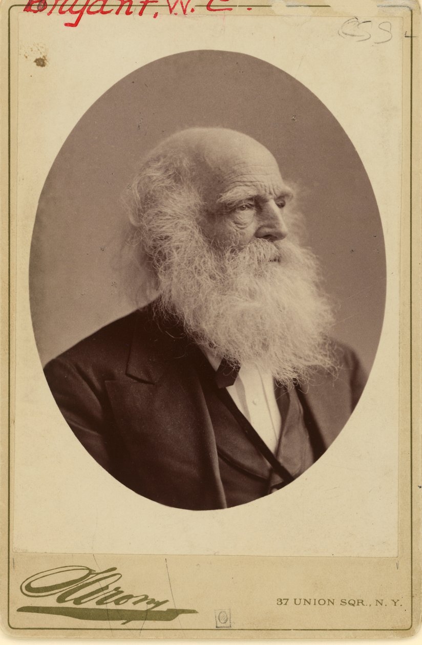 William Cullen Bryant de Napoleon Sarony
