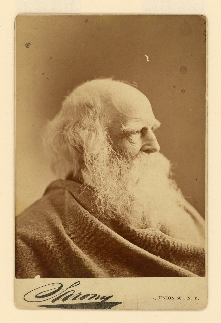 William Cullen Bryant de Napoleon Sarony
