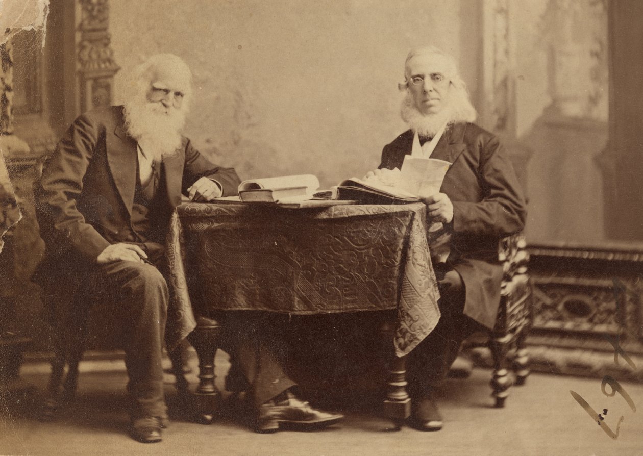William Cullen Bryant e Peter Cooper de Napoleon Sarony