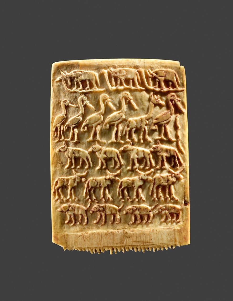 Penteado Decorado com Fileiras de Animais Selvagens, c.3200-3100 BC (marfim) de Naqada Period Egyptian