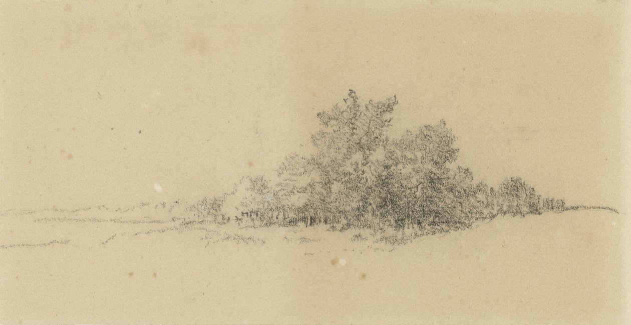 Bosrand de Narcisse Virgile Diaz de la Peña