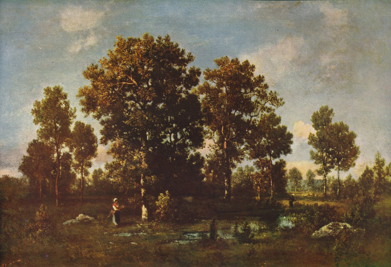 Dias ensolarados na floresta, c1850, c1915 de Narcisse Virgile Diaz de la Peña