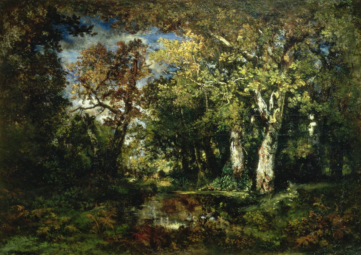 A floresta em Fontainebleau de Narcisse Virgile Diaz de la Peña