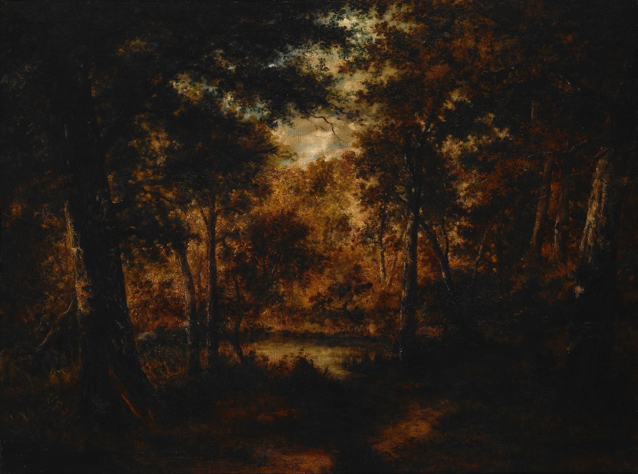 The Fairy Pool de Narcisse Virgilio Díaz