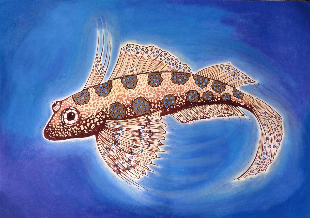Dragonet Fish, 1999 (impressão em xilogravura e mídia mista) de Nat Morley