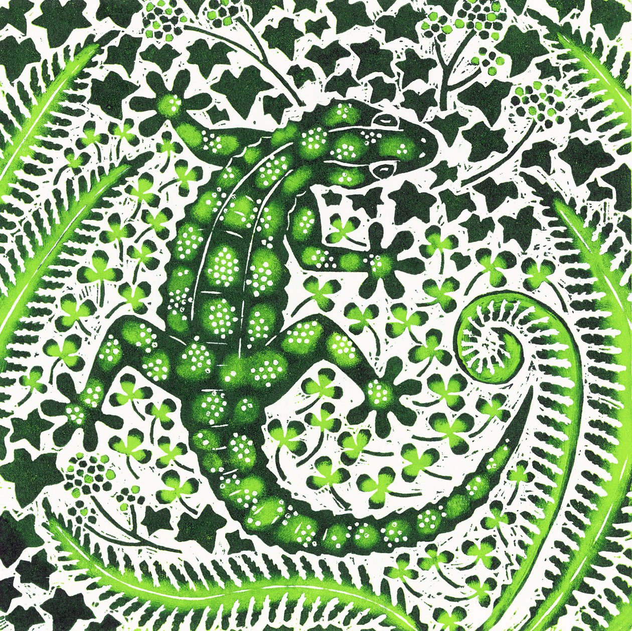 Geco Verde, 2002 de Nat Morley