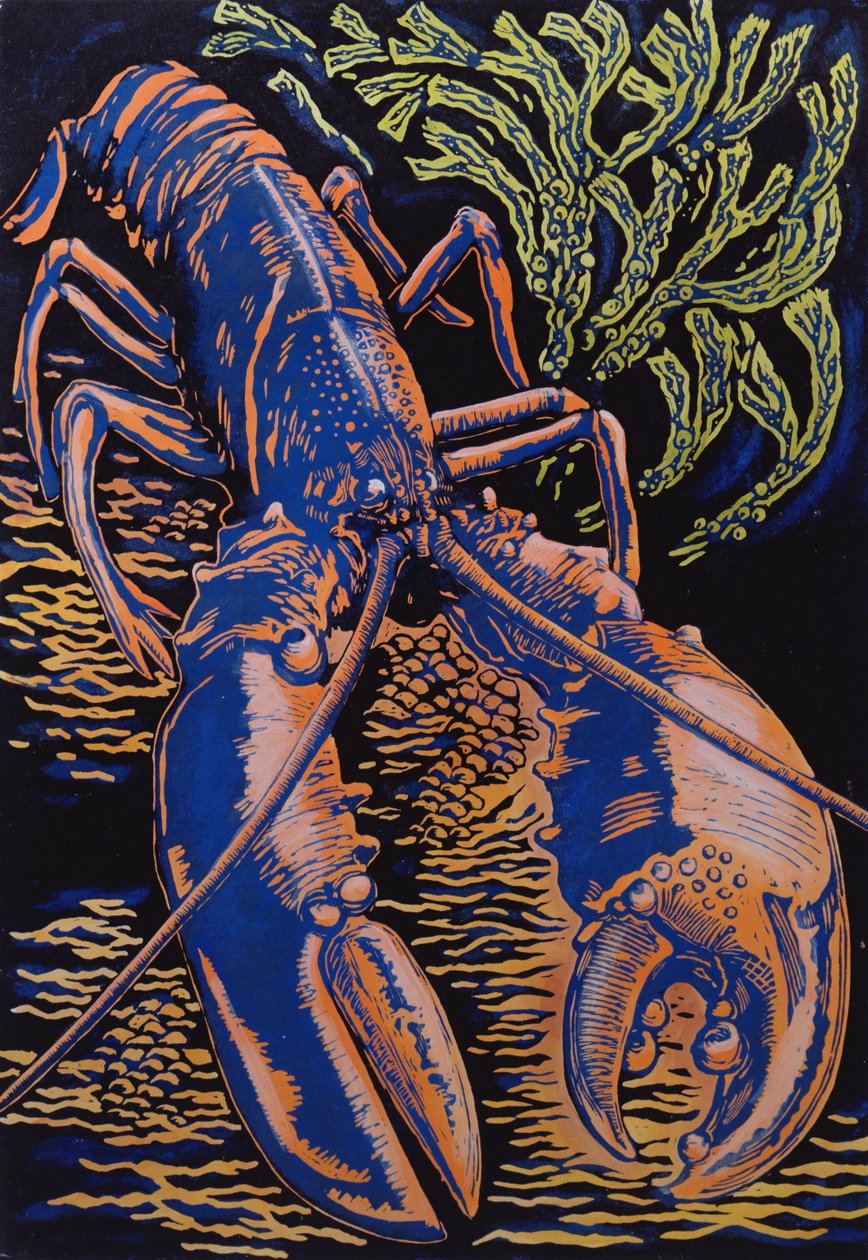 Lagosta, 1998 de Nat Morley