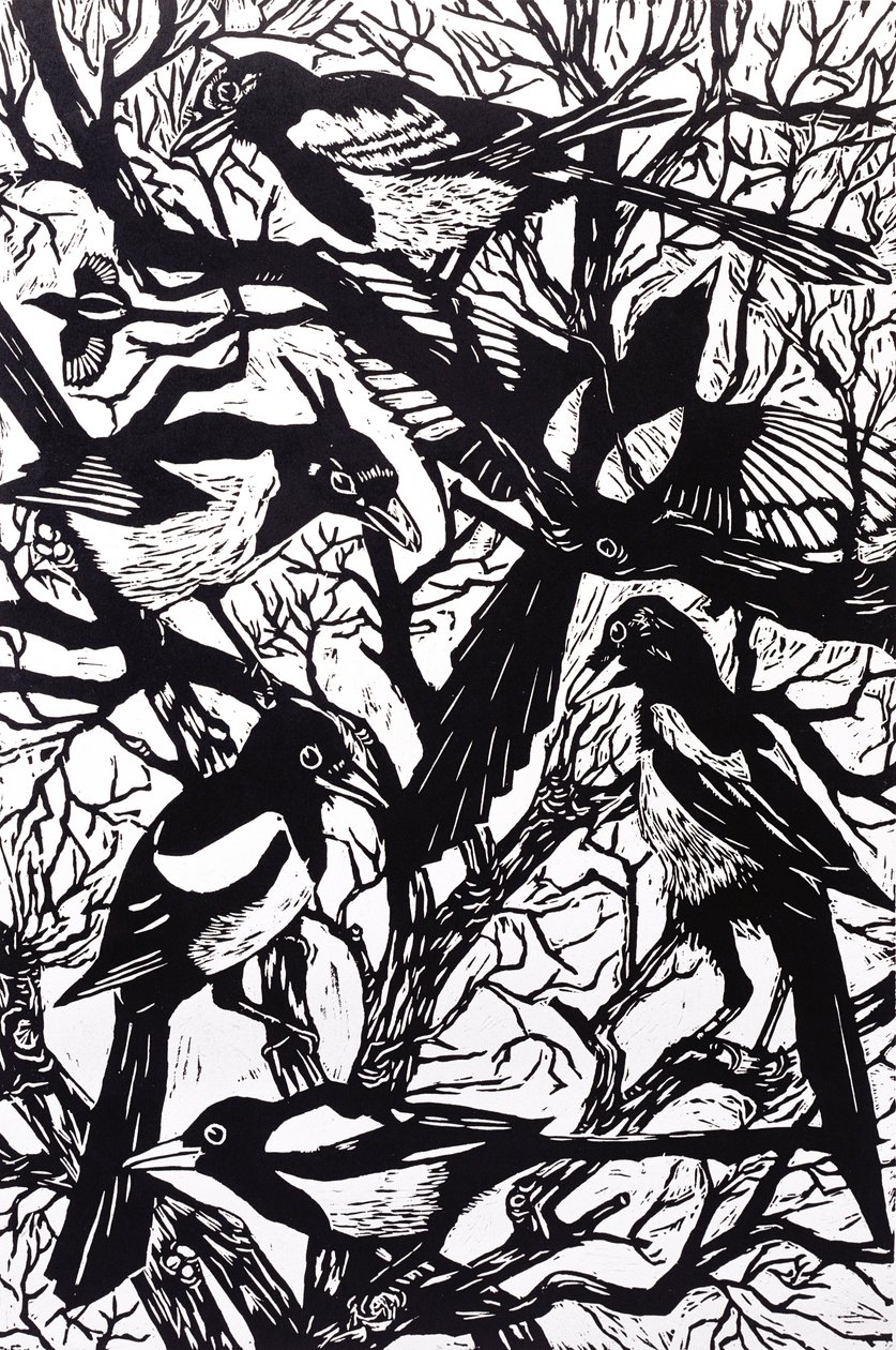 Magpies, 1997 de Nat Morley