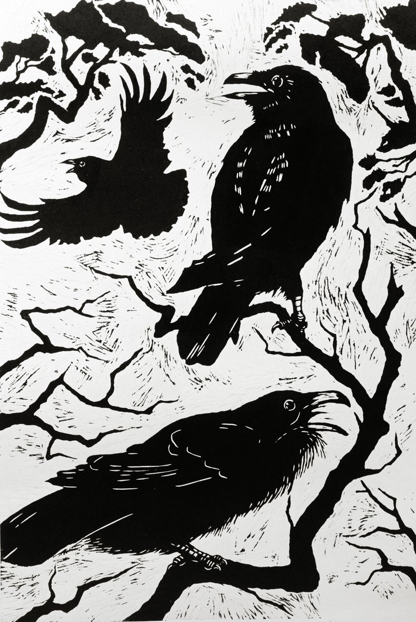 Ravens, 1998 de Nat Morley
