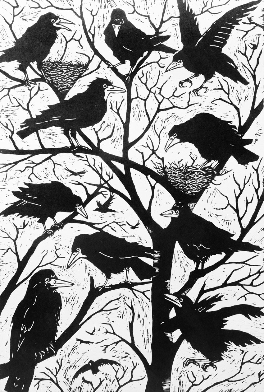 Rooks, 1998 de Nat Morley