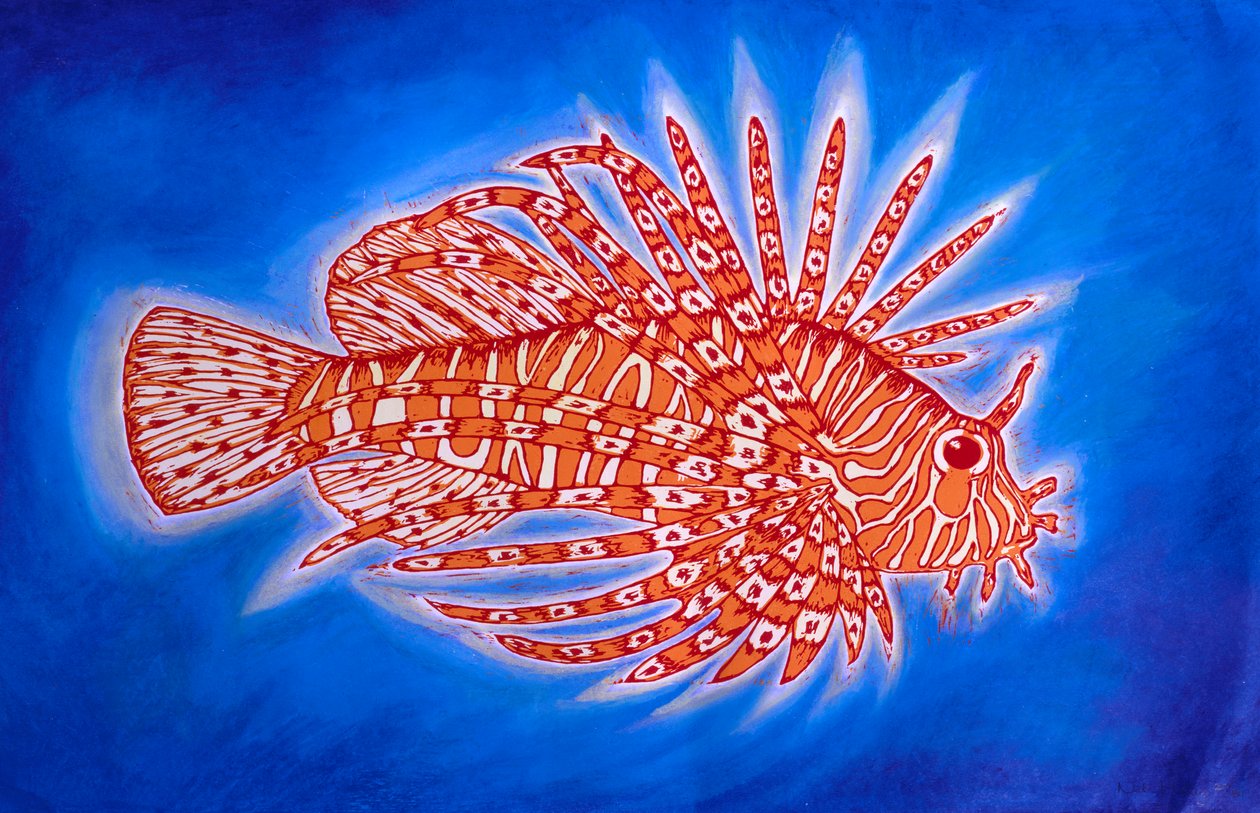 Peixe Leão de Nat Morley
