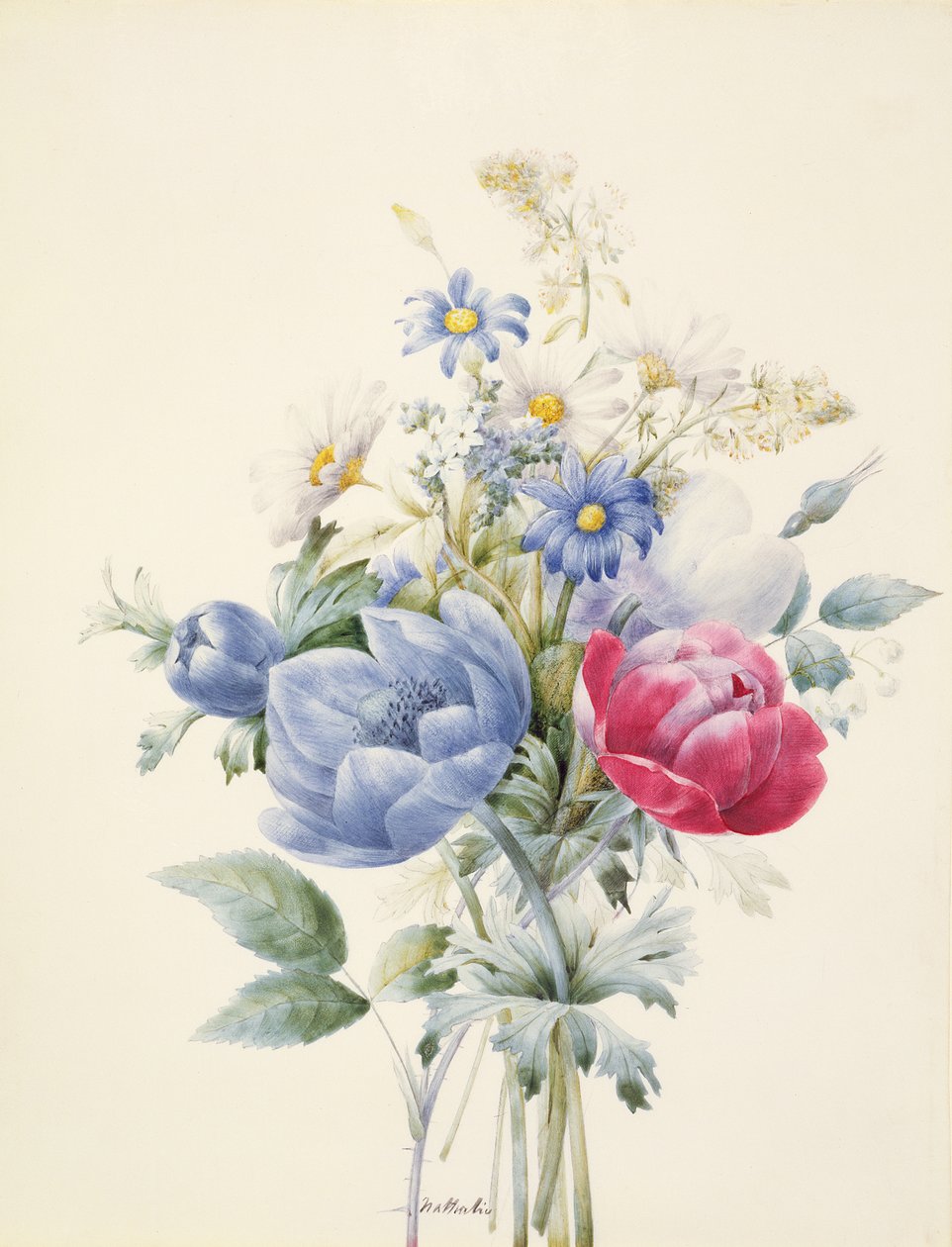 Uma rosa, anêmona, Mignonette e margaridas (wc e guache sobre velino) de Nathalie d