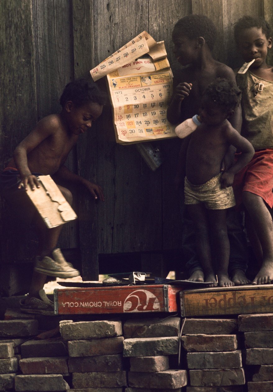 Filhos de uma família carente em Beulah, MS, uma cidade do Delta do Mississippi que cresceu como um r... de Nathan Benn