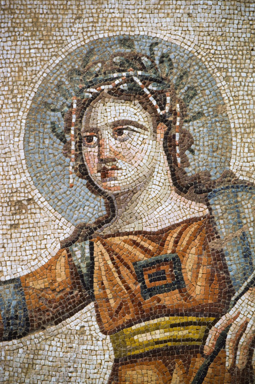 Mosaico romano na villa Casa de Aion de Nathan Benn
