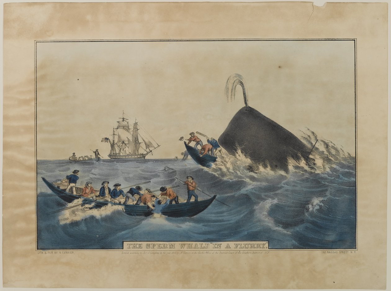 O cachalote em uma enxurrada, publicado por N. Currier, 1852 de Nathaniel Currier