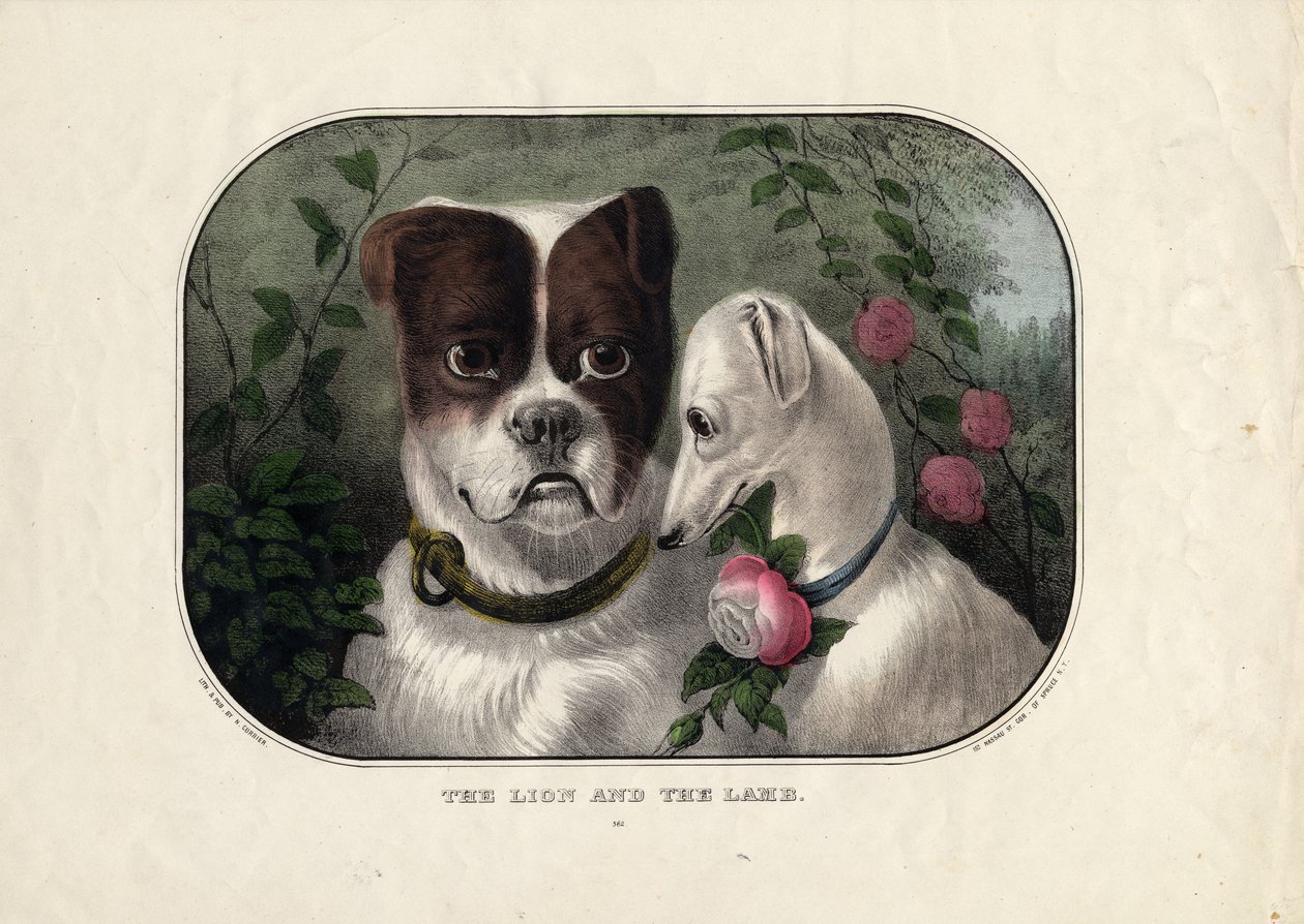 O leão e o cordeiro, publicado por N. Currier, Nova York, c.1838-56 de Nathaniel Currier