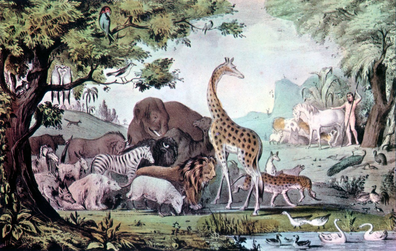 Adam Nomeando as Criaturas, 1847. de Nathaniel Currier