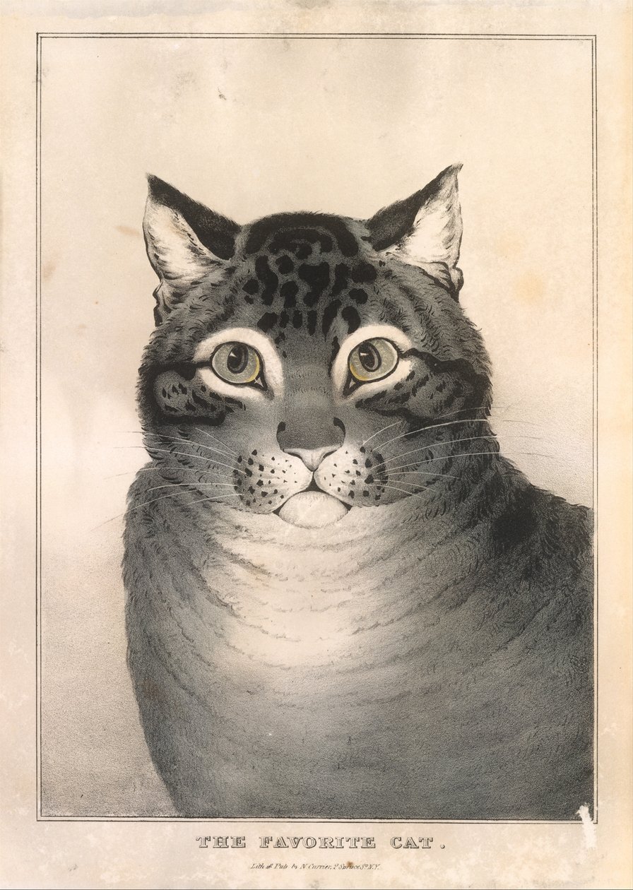 O gato favorito, 1838-46., 1838-46. de Nathaniel Currier