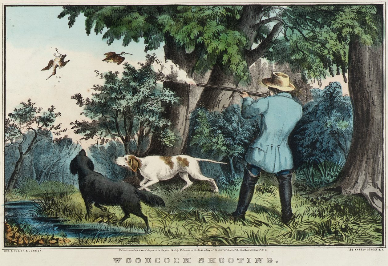 Tiro à galinhola de Nathaniel Currier