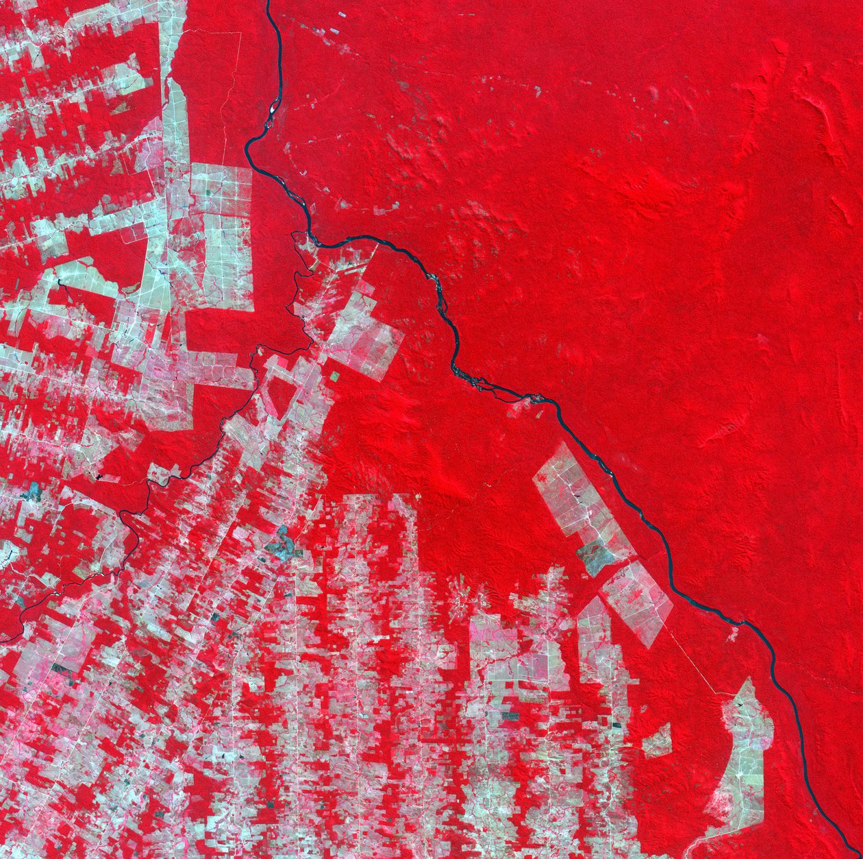 Imagem de satélite de cores falsas do desmatamento no Estado de Rondônia, Brasil, em 2000. As áreas rosa e marrom são áreas desmatadas, a floresta tropical mostra-se como vermelho vivo. Crédito: NASA. Ciência da América do Sul de National Aeronautics and Space Administration National Aeronautics and Space Administration