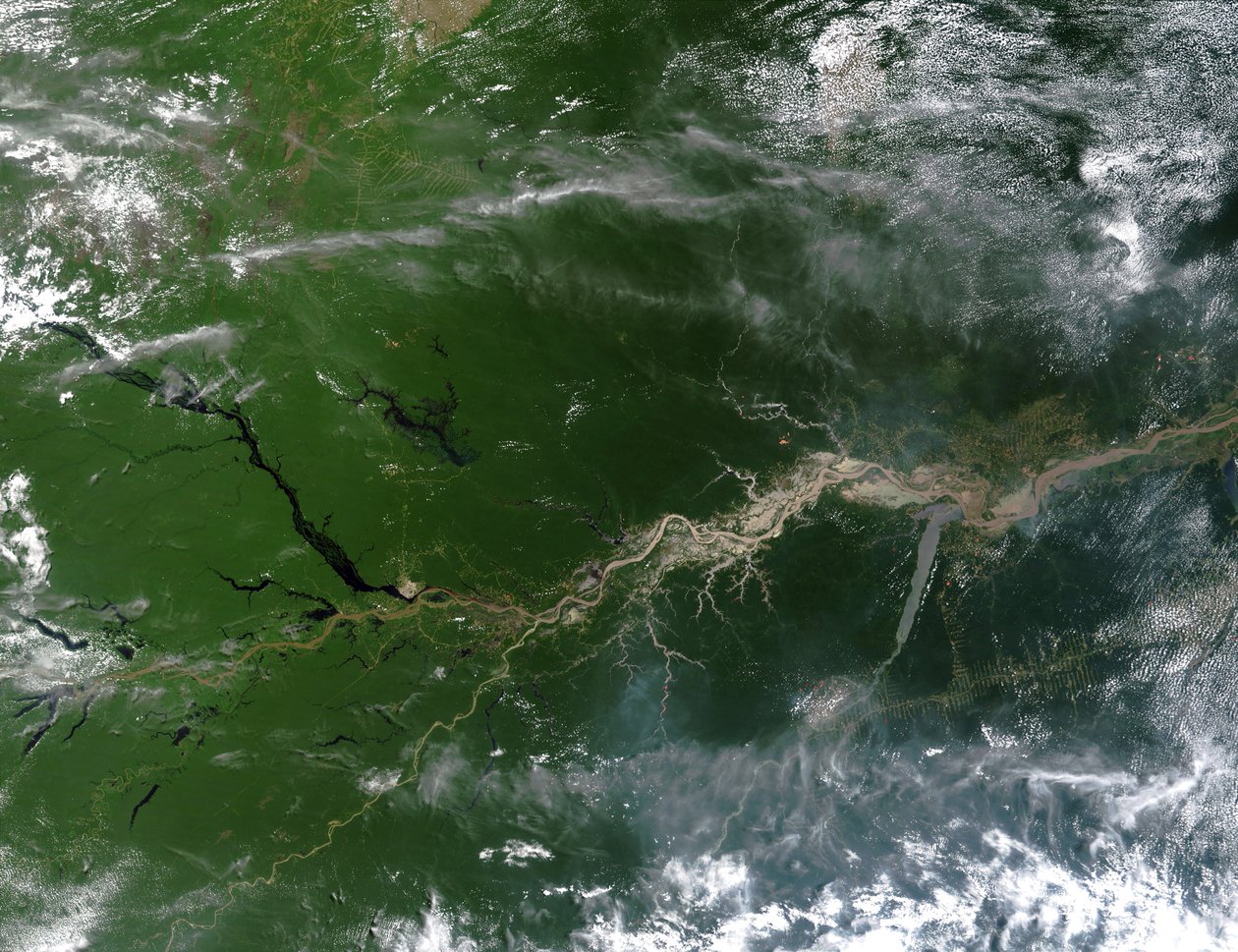 Imagem de satélite de cor verdadeira do rio Amazonas, abaixo da qual corre um quinto da água do rio que entra nos oceanos da Terra. Crédito: NASA. Geografia Científica da América do Sul de National Aeronautics and Space Administration National Aeronautics and Space Administration