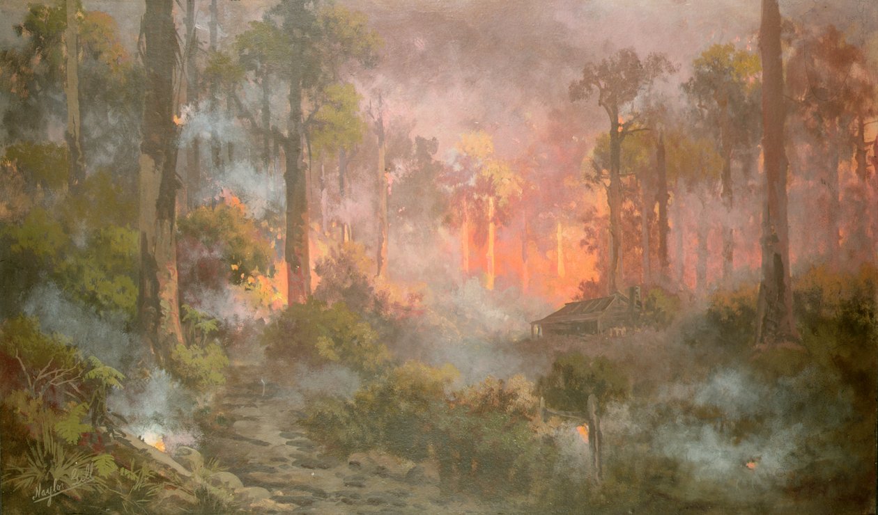 Fogo de Bush de Naylor Gill