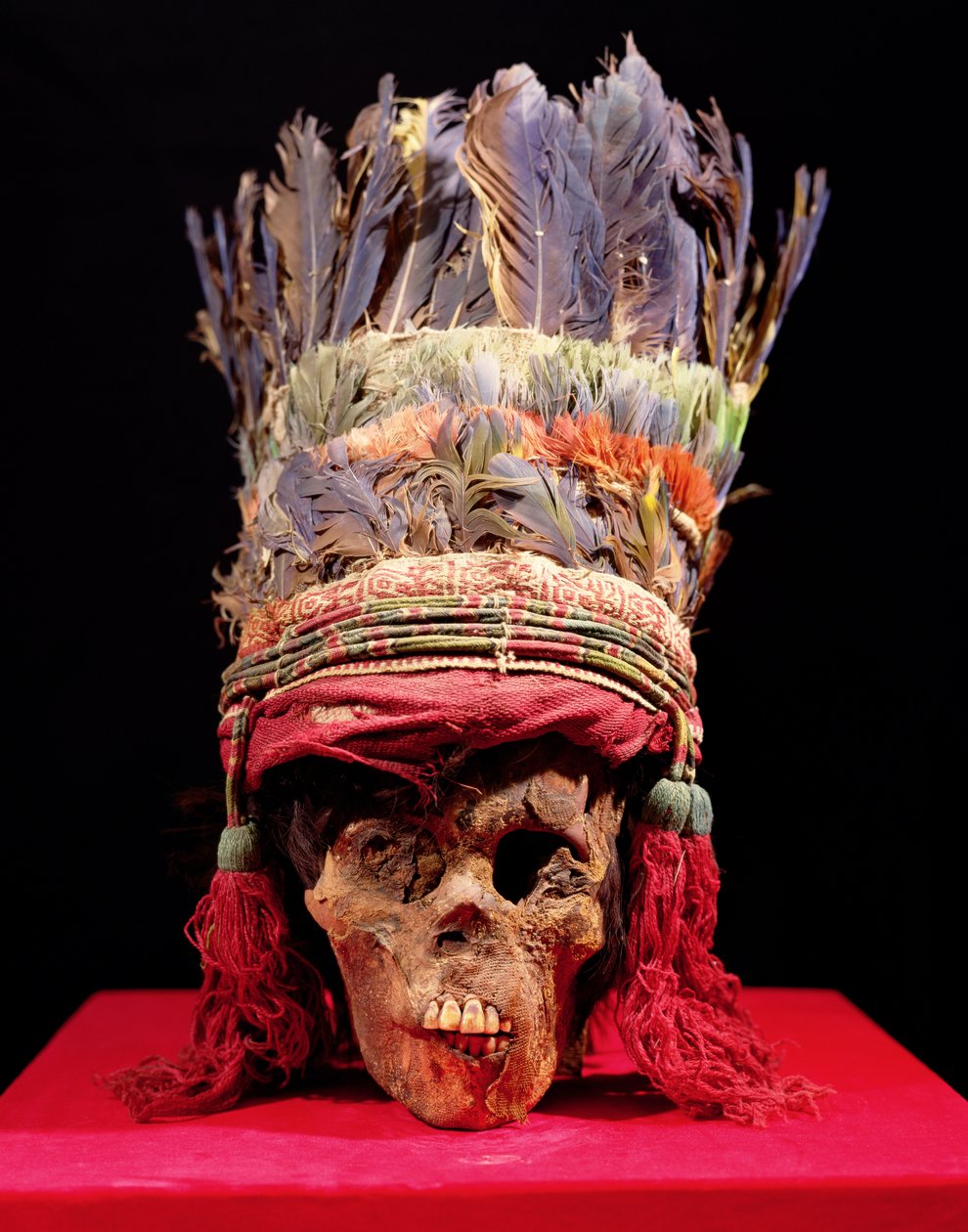Cocar de penas em um crânio, do Peru (pena) de Nazca Culture
