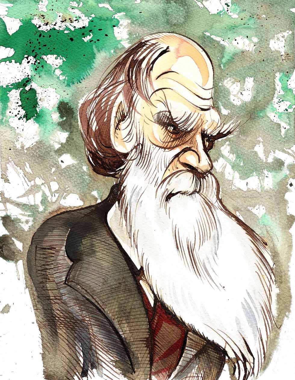 Charles Darwin (naturalista inglês e escritor, 1809-82) caricatura de cores de Neale Osborne