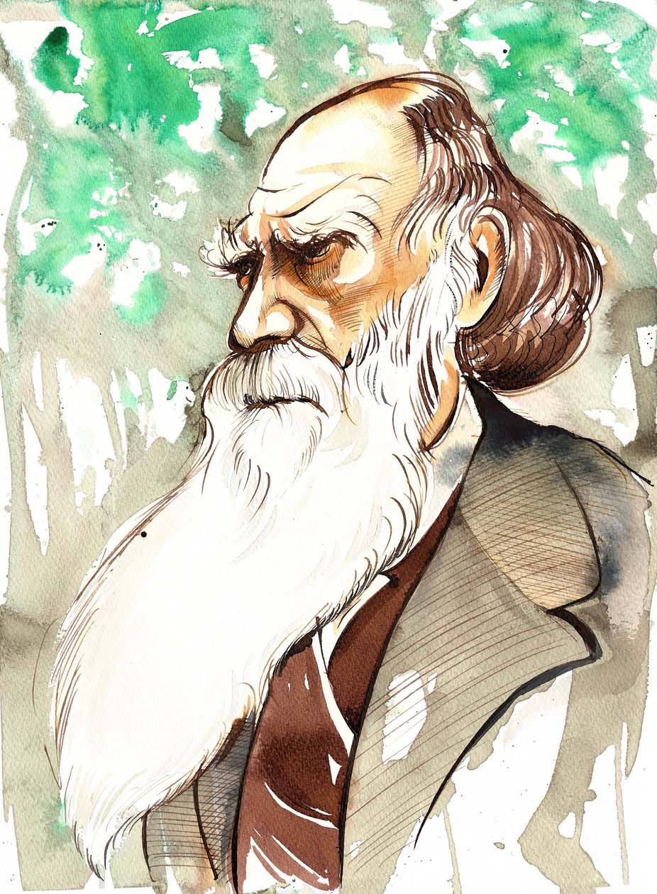 Charles Darwin (naturalista inglês e escritor, 1809-82) retrato de Neale Osborne