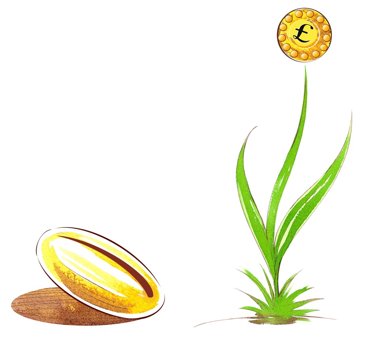 Semente e atirar - ilustração de alegoria financeira de Neale Osborne