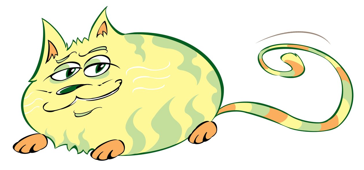 Gato curvilíneo - caricatura de Neale Osborne
