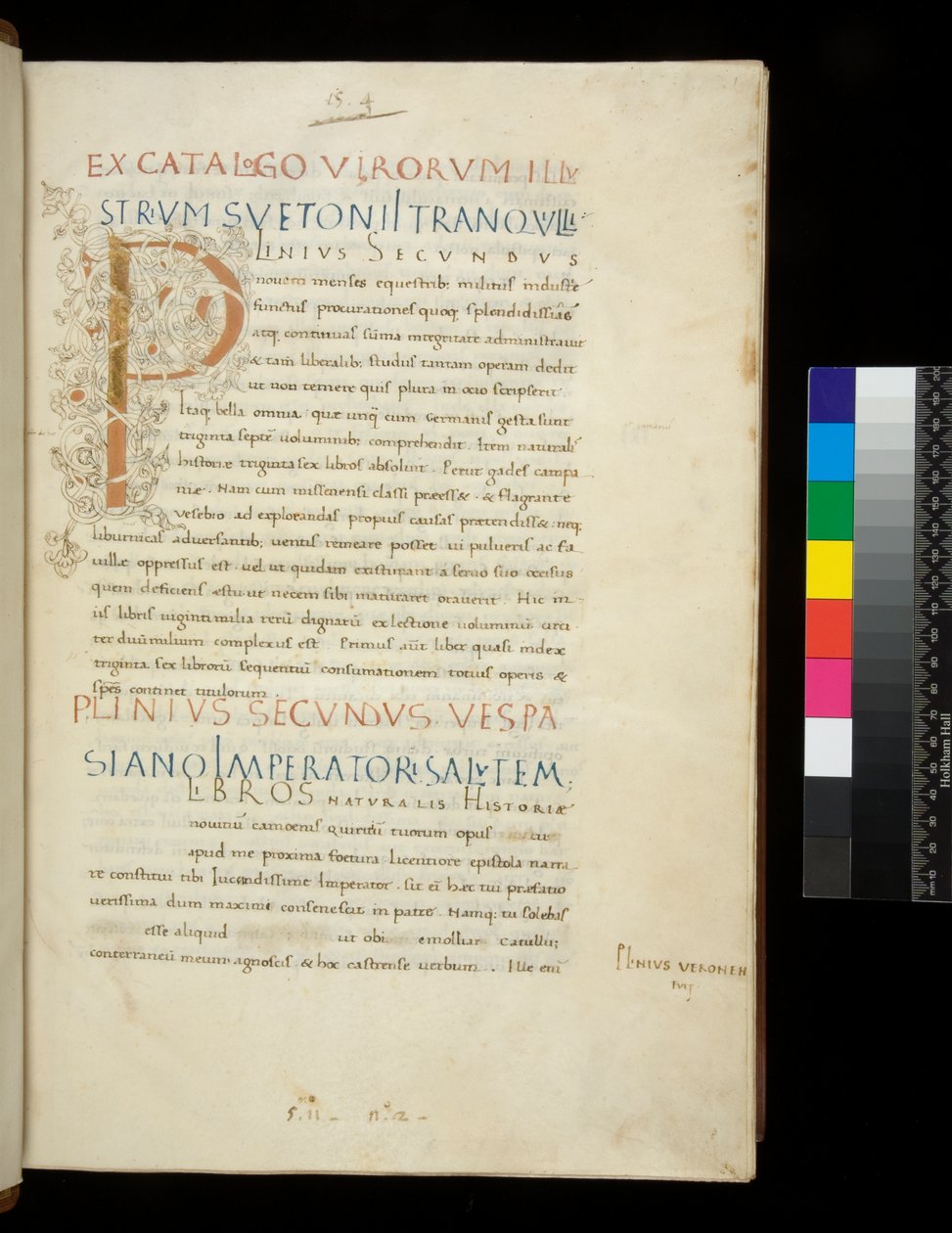 Sra. 394.1. Pliny the Elder, Historia naturalis, f.1r. Inicial iluminada [P] com decoração de vinha branca (inacabada), Nápoles, meados do século XV, c.1442 (pergaminho) de Neapolitan School