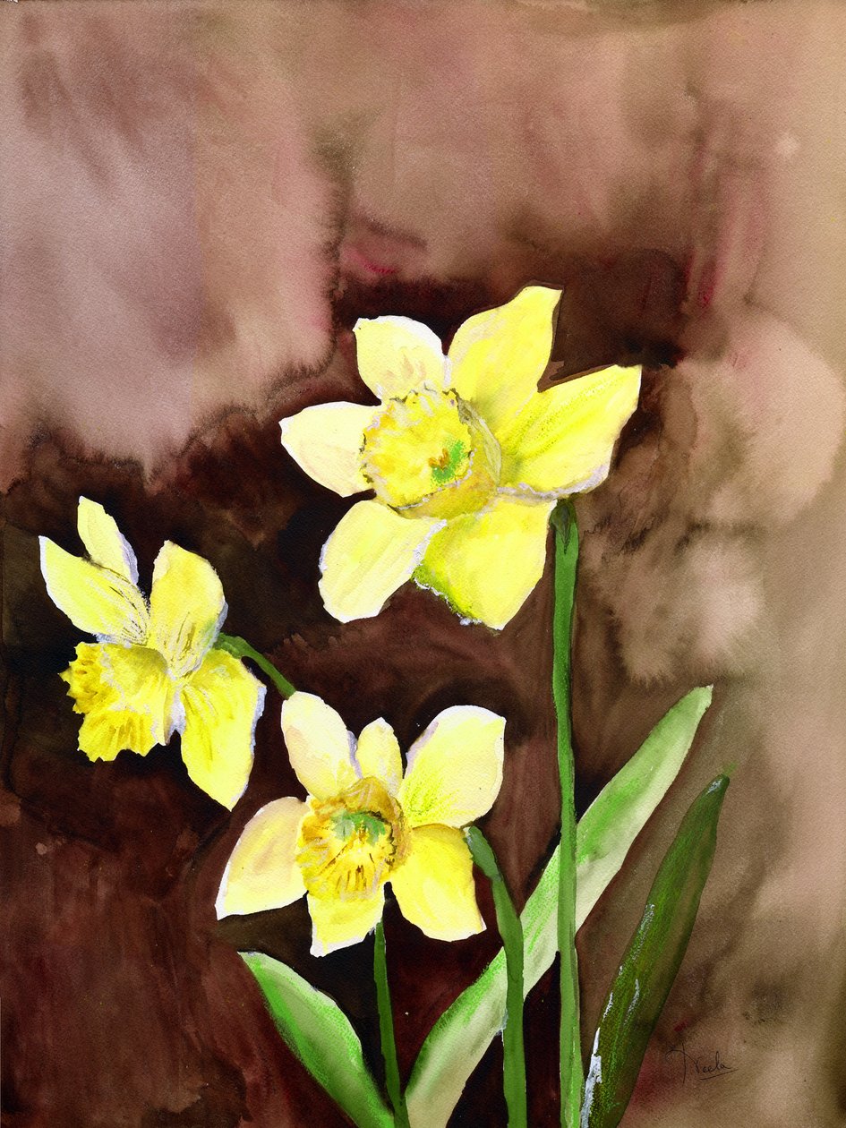 narcisos dourados de Neela Pushparaj