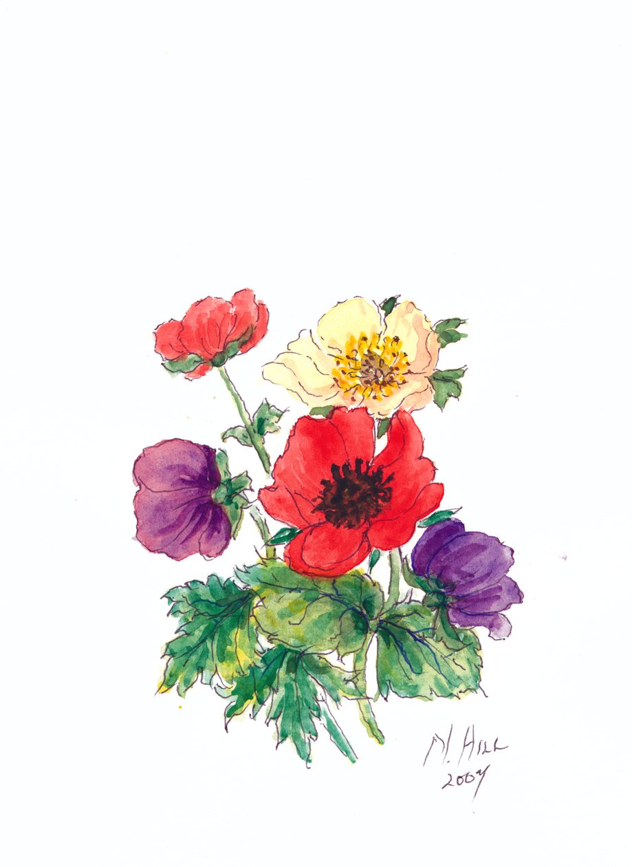 Anêmonas, 2007 (wc no papel) de Nell Hill