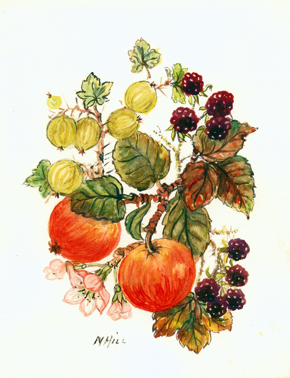 Brambles, Maçãs e Uvas (wc no papel) de Nell Hill