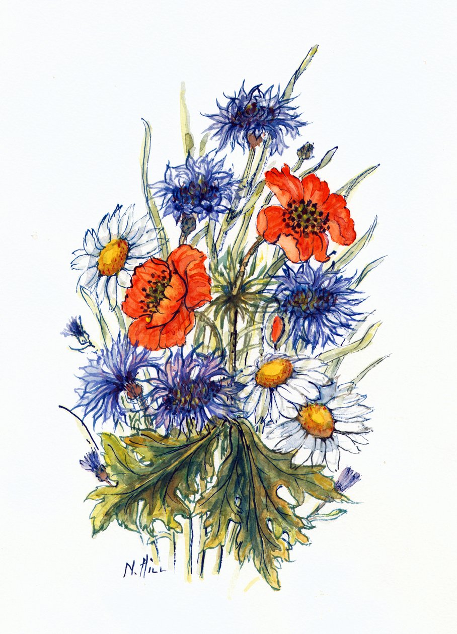 Cornflower, Poppy e Ox-eye Daisy (wc no papel) de Nell Hill