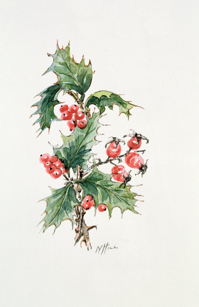 Holly e rosehips de Nell Hill