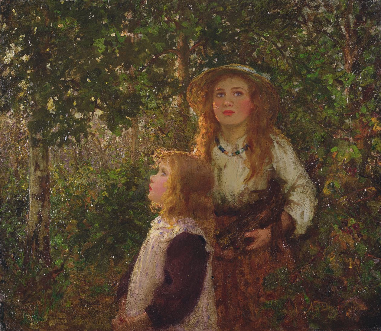 Na floresta de Nellie Gertrude Dixon